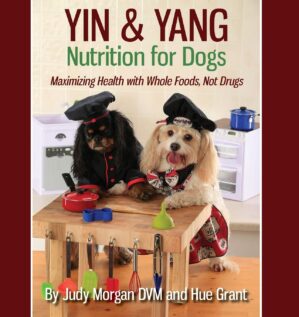 Yin & Yang Nutrition: Maximizing Health