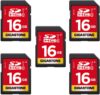 Gigastone 16GB SDHC Memory Cards With Cases