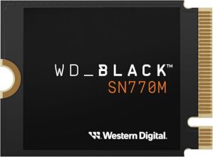 WD_BLACK 1TB SN770M M.2 NVMe SSD WDBDNH0010BBK-WRSN
