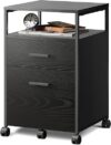 DEVAISE 2 Drawer File Cabinet Mobile Printer Stand