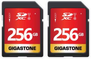 Gigastone 256GB 2-Pack SDXC Memory Card