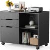 Sweetcrispy 3-Drawer Lateral Filing Cabinet With Wheels
