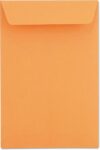 Universal 40105 Catalog Envelope