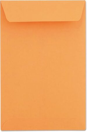 Universal 40105 Catalog Envelope