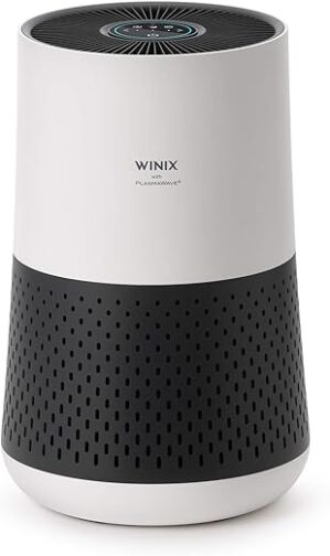 Winix Air Purifier With True HEPA Filter