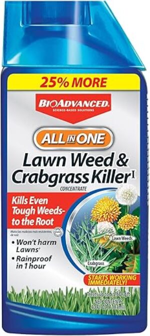 BioAdvanced All-In-One Lawn Weed Killer, 40 oz