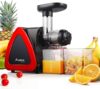 AAOBOSI Aobosi Cold Press Juicer With Reverse