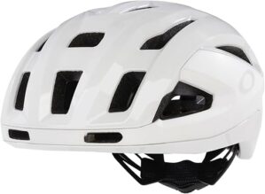 Oakley Aro3 Endurance PLSD/MTE WTE/PLSD RF