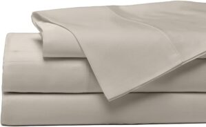 Cozy Earth Bamboo Jersey Queen Sheet Set, Birch