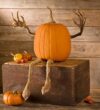 Plow & Hearth Bendable Pumpkin Arms And Legs Set