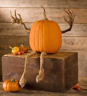 Plow & Hearth Bendable Pumpkin Arms And Legs Set