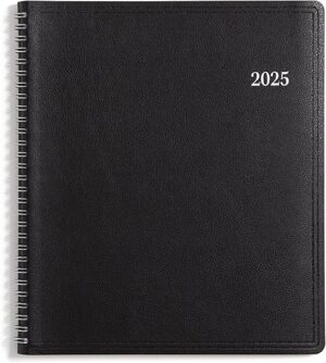 Blue Sky Blue Sky 2025 Monthly Planner, 8” x 10”