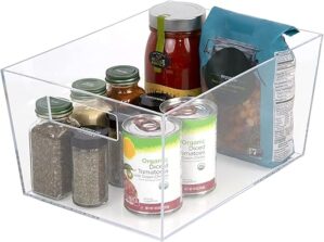 Richard Homewares Clear Plastic Storage Bins with Handles