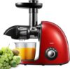 HOUSNAT Cold Press Juicer With 2-Speed Modes