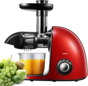 HOUSNAT Cold Press Juicer With 2-Speed Modes