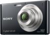 Sony DSC-W330 14.1MP Digital Camera 4x Zoom