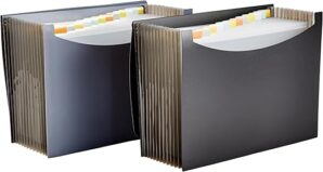 Amazon Basics Expanding Organizer File Folder, Letter Size