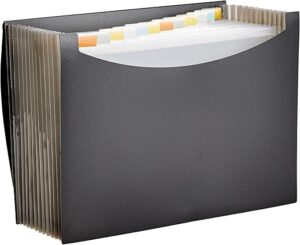 Amazon Basics Expanding Organizer File Folder, Letter Size