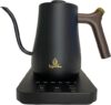 Leyla’s Tea Gooseneck Electric Kettle With Variable Presets