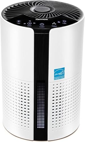 Kenmore Kenmore PM1010 Air Purifier With HEPA Filter