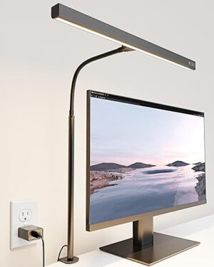 SUPERDANNY LED Desk Lamp With Adjustable Gooseneck