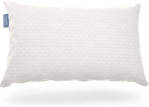 Cosy House Collection Luxury Bamboo Shredded Memory Foam Pillow