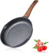 Vinchef Nonstick Frying Pan, 9.5 Inch Skillet