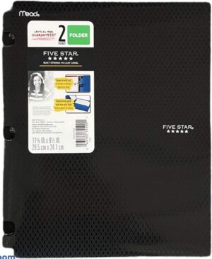 Mead Plastic Folder For Binders, 2 Pocket