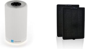 Kenmore PM1005 Air Purifier, H13 True HEPA Filter
