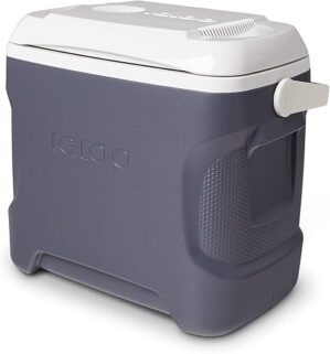 Igloo Portable Electric Coolers (18-60QT)