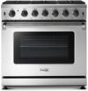 Thor Kitchen Professional 36-inch Gas Range LRG3601U