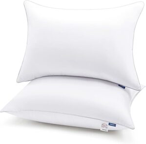 CozyLux Queen Size Hotel Quality Pillows Set