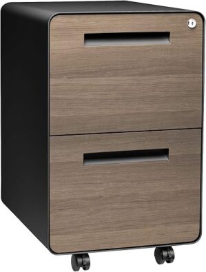 Laura Davidson Furniture Stockpile 2 Drawer Mobile File Cabinet