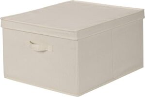 Household Essentials Storage Box With Lid And Handle