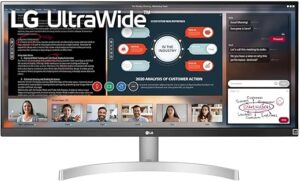 LG UltraWide 29-Inch FHD Monitor 29WN600-W