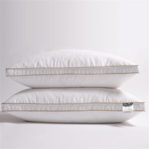 ghghnrtgefrgnhnxdf White Goose Down Hotel Pillow (60*60cm)