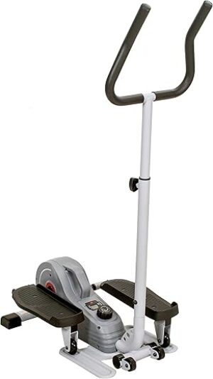 Sunny Health & Fitness 2 In 1 Sit/Stand Mini Elliptical