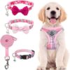 PUPTECK Adjustable Pet Harness Collar Set