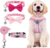 PUPTECK Adjustable Pet Harness Collar Set