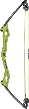 Bear Archery Apprentice Bow Set