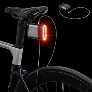 ROCKBROS Bike Tail Light With Cycling Lock