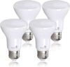 Bioluz LED BR20 LED Bulb 3000K Bright Soft White
