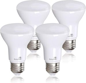 Bioluz LED BR20 LED Bulb 3000K Bright Soft White