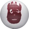 WILSON Cast Away Volleyballs – Mini & Official Size