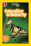 Caterpillar To Butterfly: Explore! Readers