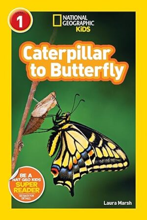 Caterpillar To Butterfly: Explore! Readers