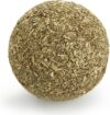 SmartyKat Catnip Kiss Compressed Catnip Ball Toy