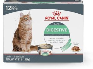 Royal Canin Digestive Care Thin Slices Wet Cat Food