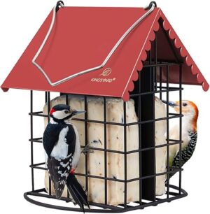 Kingsyard Double Suet Bird Feeder With Roof