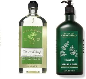 Bath & Body Works Eucalyptus Spearmint Stress Relief Set